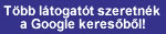 Igen szeretnék több látogatót a Google keresőből!