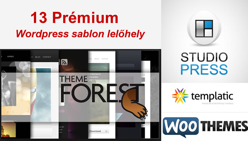 13 prémium wordpress sablon