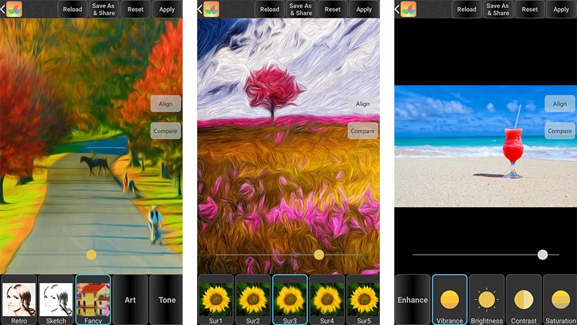 Bonfire Photo Editor Pro online képszerkesztő