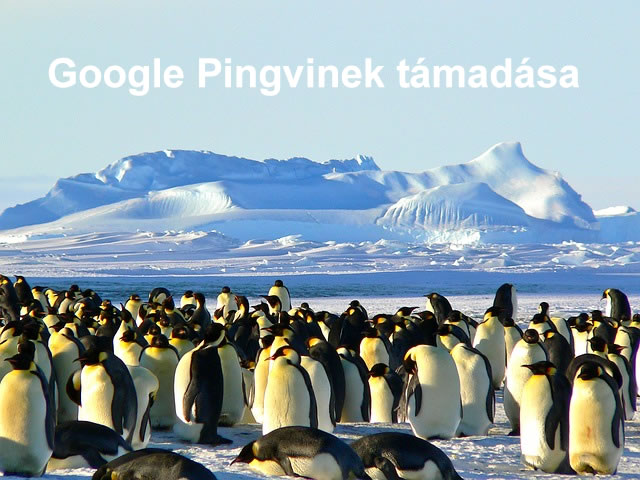 Google Pingvinek támadása