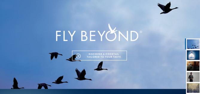 Call to action: Grey Goose