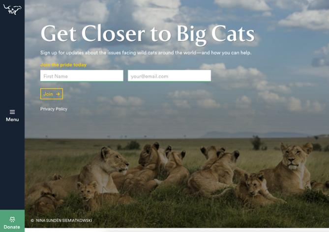 Call to action: Panthera